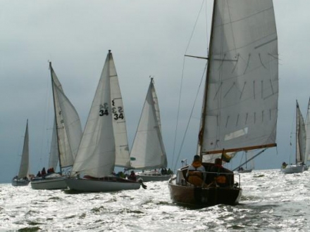 Marių burių regata 2008