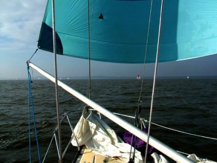 Paršelio regata 2007