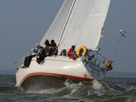 Paršelio regata 2008