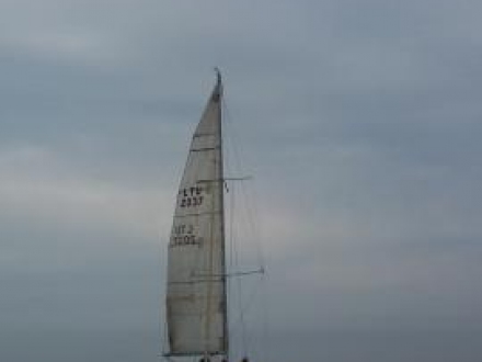 Paršelio regata 2014