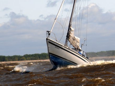 Pilypo taurė-2014 regata
